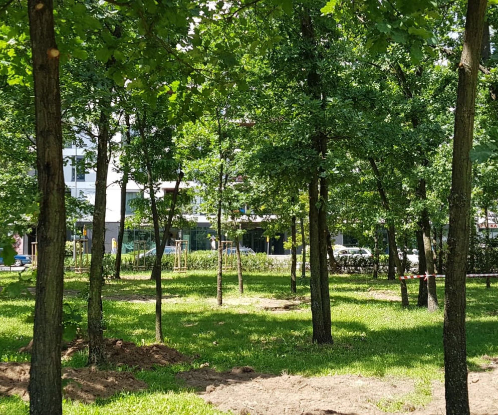 Nowy skwer Białołęka 