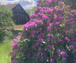 Dom stolarza z 1871 roku we wsi Zawada