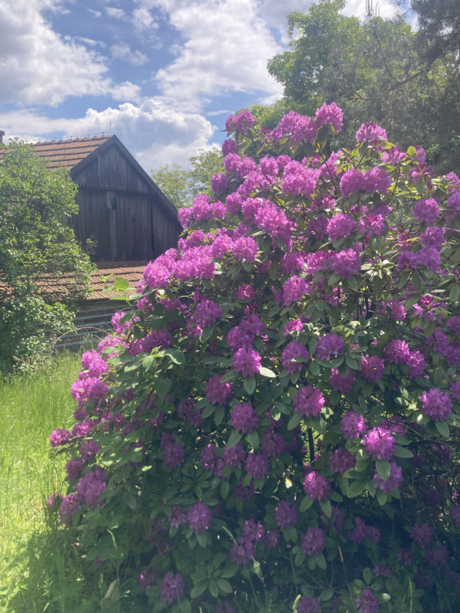 Dom stolarza z 1871 roku we wsi Zawada