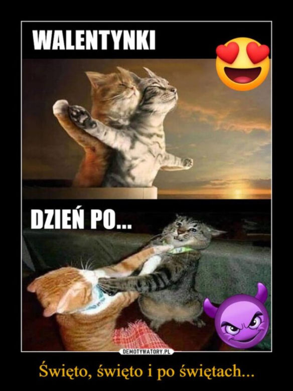 Memy na walentynki 2022 [GALERIA] 