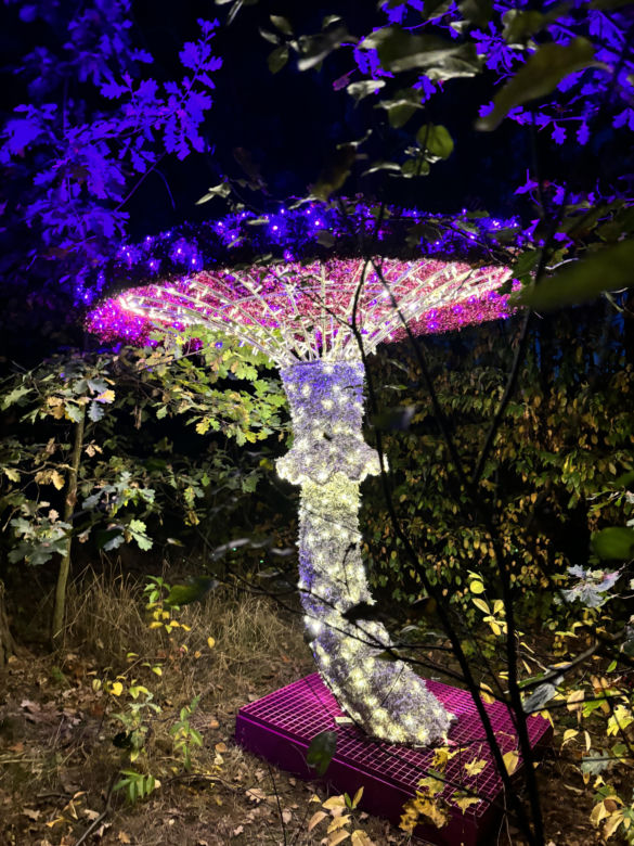 Otwarcie Lumina Parku w Poznaniu. Tegoroczne świecące miasteczko robi fenomenalne wrażenie!