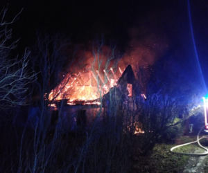 Straciła dom. Życie zawdzięcza czujności zwierząt