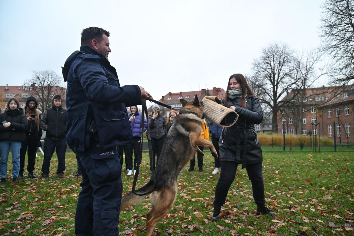Trening psów ze studentami