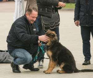 Pogrzeb Kamila Durczoka