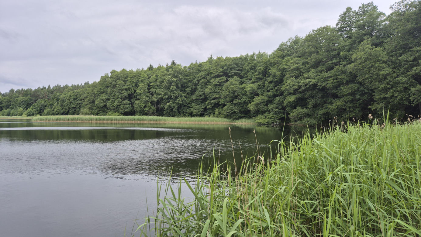 To jezioro pod Olsztynem przyciąga tajemniczą aurą. Trzeba zachować tam absolutną ciszę