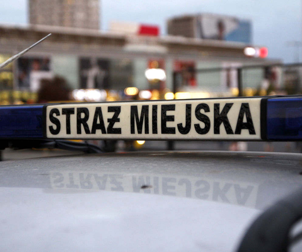 Praga-Północ: zatrzymano podejrzanych o gwałt na 13-latce