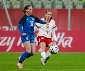 Polska - Słowenia: Najwierniejsi kibice wspierali reprezentację Polski kobiet. Dużo zdjęć z Gdańska