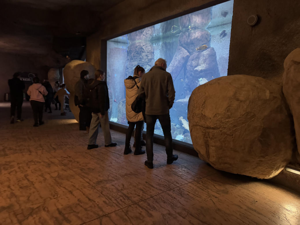 Czy warto jechać do ZOO Wrocław zimą?