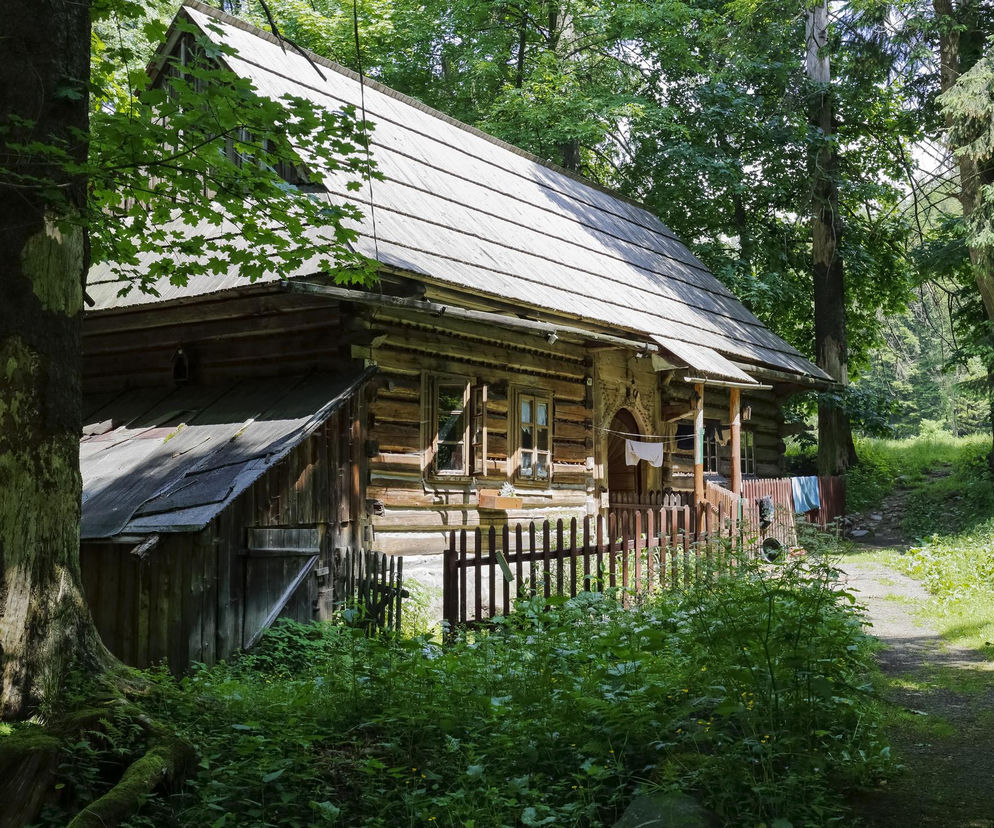 Czy opłaca się przenosić stary drewniany dom? Jak się to robi?