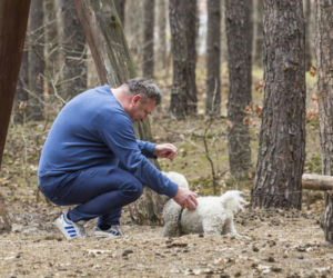 Wójcik zrzuca kilogramy po świętach