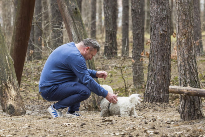 Wójcik zrzuca kilogramy po świętach