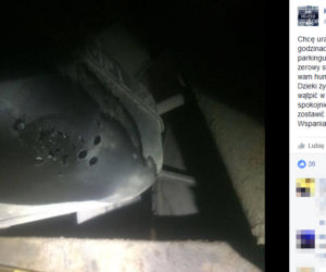 Hejted: Szczecin