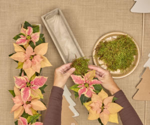 Kalendarz adwentowy z choinkami z papieru i mini poinsecjami