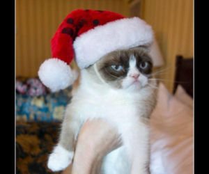 Śmieszne obrazki, które rozbawią każdego