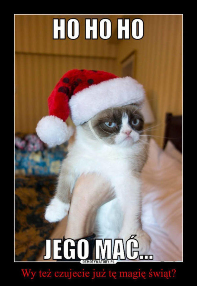 Śmieszne obrazki, które rozbawią każdego