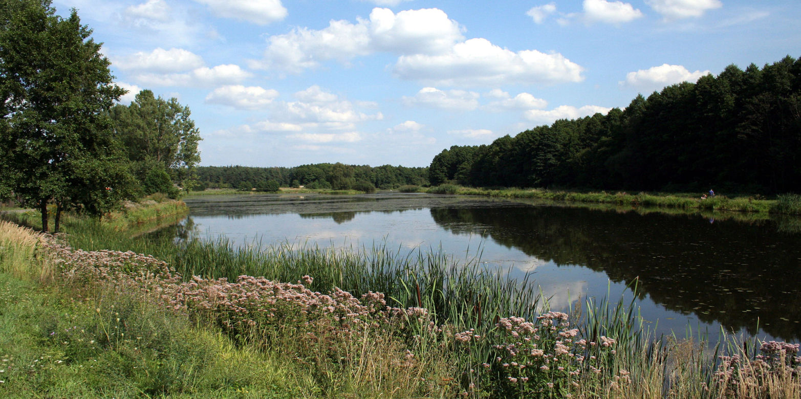 Lasy nad Górną Liswartą