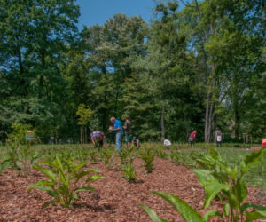Gliwice: Park Chrobrego już gotowy!