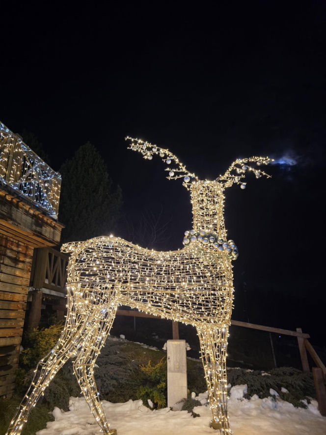 Park Świateł w Zakopanem