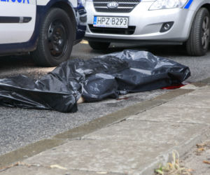 Samobójca skoczył z mostu Gdańskiego