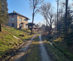 Trześniów. Potworne zabójstwo staruszki. [GALERIA]