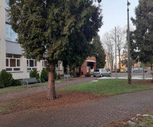 Siedleckie szkoły przy ul. Konarskiego i Prusa i ich okolica w lutym 2021 roku