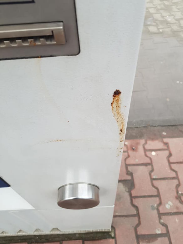 Obrzydliwe odkrycie mieszkańca w Krakowie