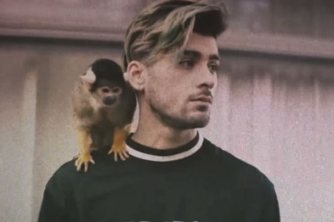 Zayn Malik - nowa płyta. Kiedy premiera drugiego albumu?