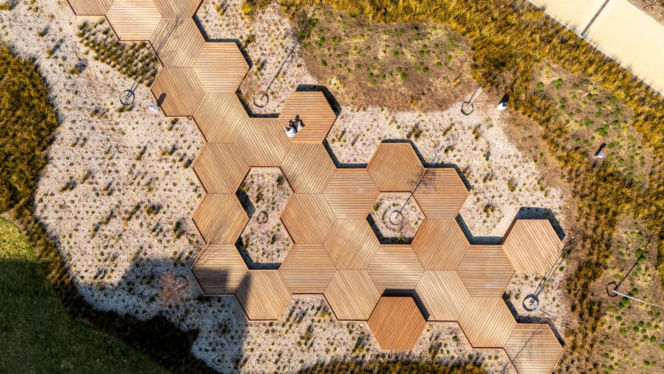 Park nad Południową Obwodnicą Warszawy w marcu 2026 r.