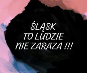 Mieszkaniec Rybnika sprzedaje powietrze z czerwonej strefy. To ogłoszenie jest hitem internetu