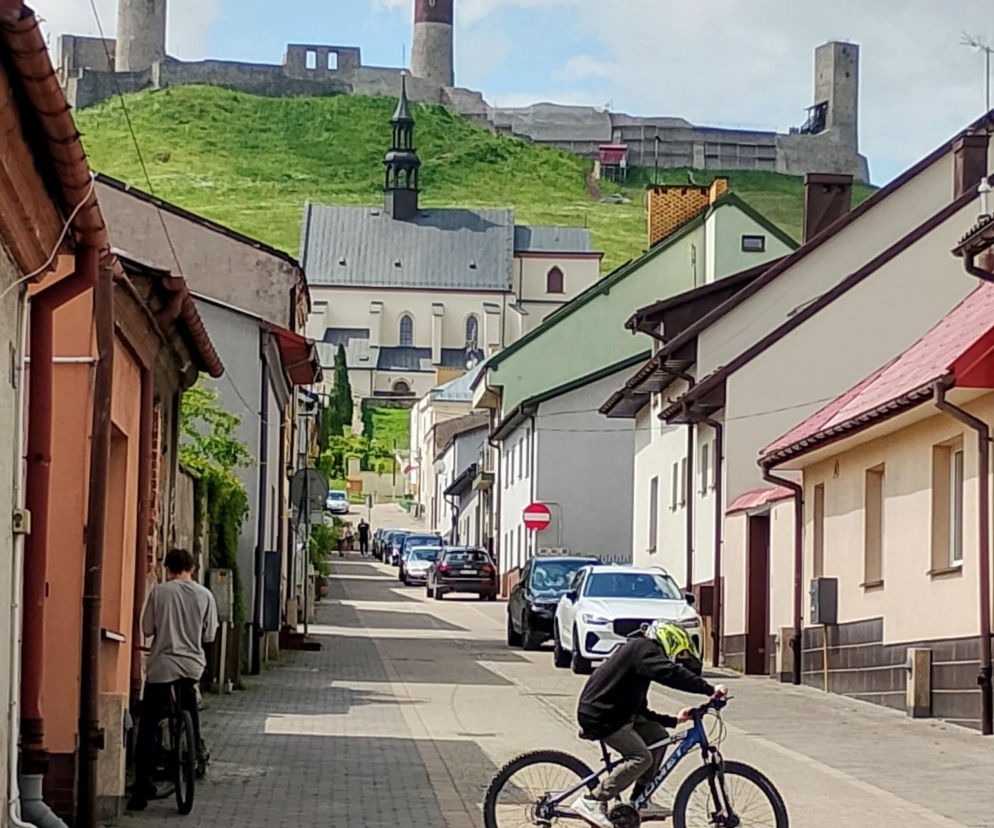 Najbardziej znane złoża różanki zelejowskiej znajdowały się w okolicach Chęcin, a w szczególności na Górze Zelejowej.