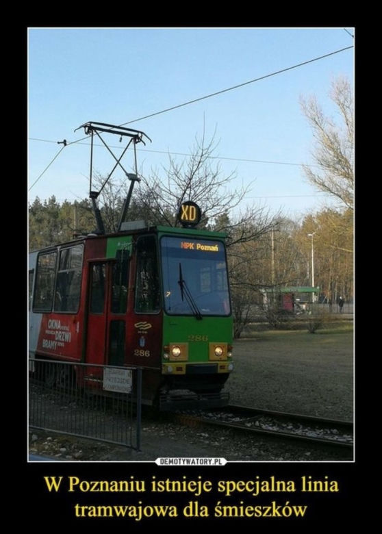 Tak internet się śmieje się z Poznania! Zobacz najlepsze MEMY!