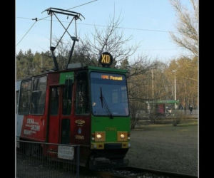 Tak internet się śmieje się z Poznania! Zobacz najlepsze MEMY!