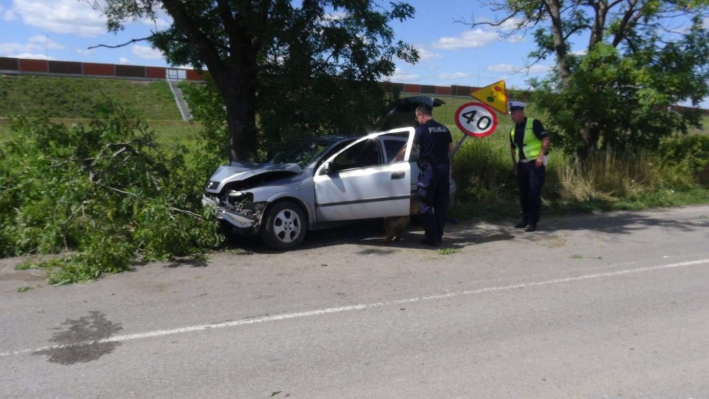 Rąbnął w drzewo, zostawił nieprzytomnego pasażera na pastwę losu.