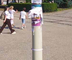 Tajemnicze plakaty na przystankach w Szczecinie