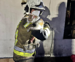 Druh Tymek wyniósł kota z płonącego domu. „Być może nie udałoby się go uratować”