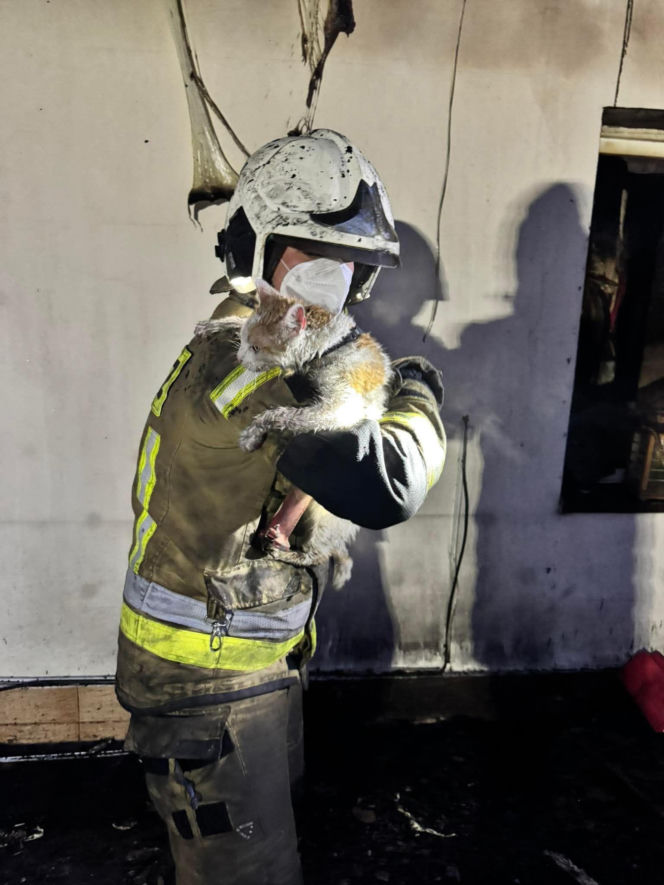 Druh Tymek wyniósł kota z płonącego domu. „Być może nie udałoby się go uratować”
