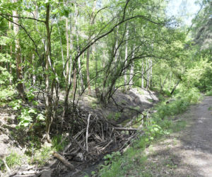 Kolejarze zabiorą mieszkańcom jedyne dojście do rezerwatu. Nie ma pieniędzy na tunel pod torami