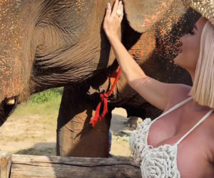 Gwiazdy witają nowy rok w bikini