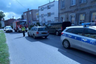 Pies wciągnął 8-latka przed jadące auto! Ranne dziecko w szpitalu