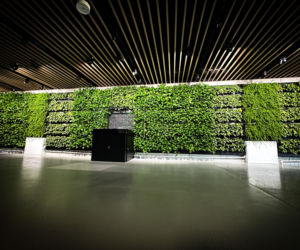 Egzotarium w Sosnowcu