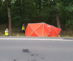 Śmiertelny wypadek na drodze Leszno-Osieczna. Nie żyją dwie osoby 