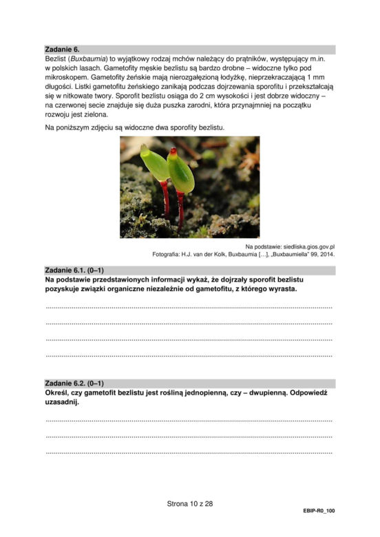 Matura 2024: biologia rozszerzona ARKUSZ FORMUŁA 2015