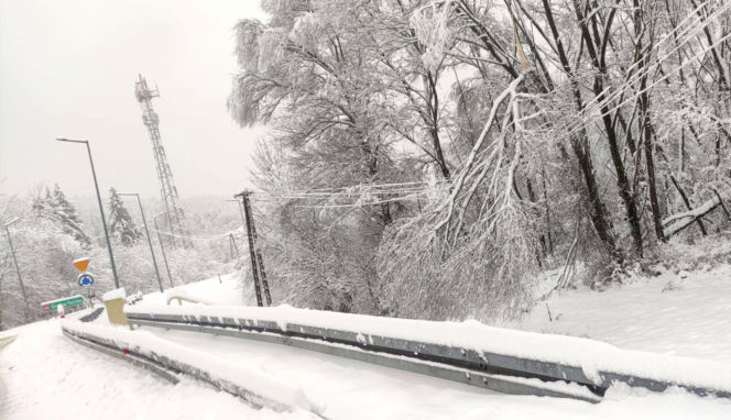 Atak zimy na Podkarpaciu: Tysiące domów bez prądu! Strażacy interweniowali setki razy, śnieg paraliżuje region