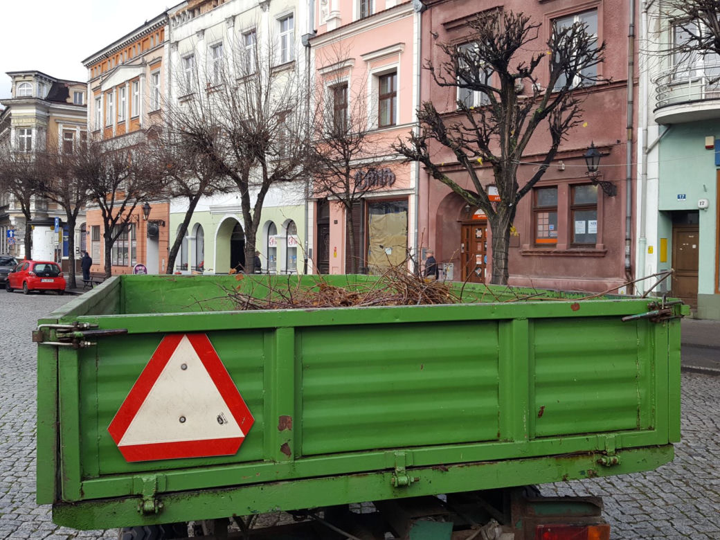 Drzewa na Rynku w Lesznie pod fachową opieką