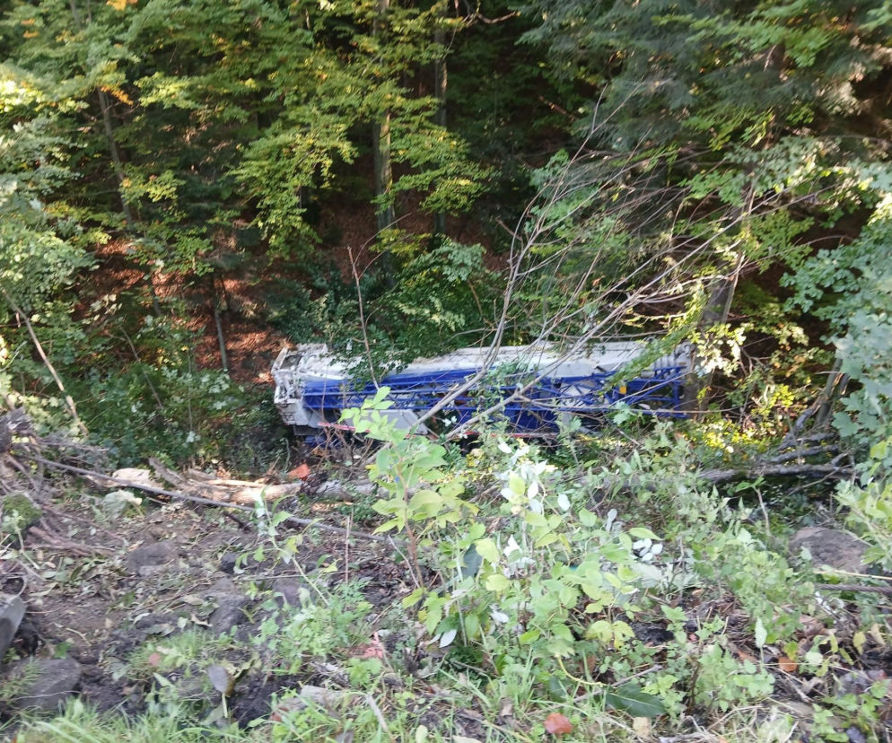 Dźwig spadł 20 metrów ze skarpy. Kierowca wyskoczył z kabiny