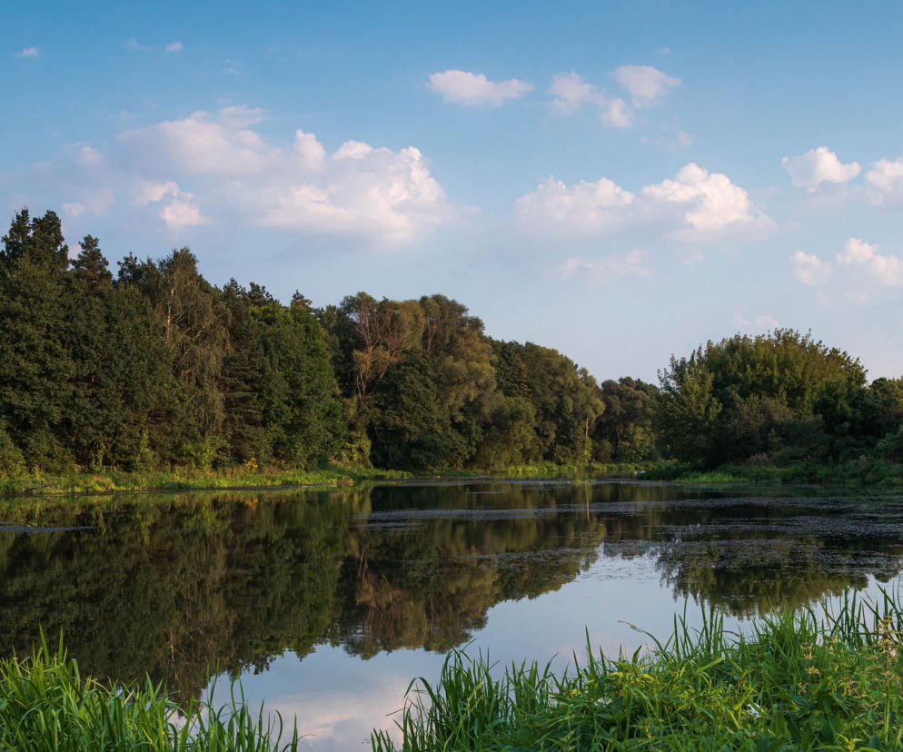 DWA CIAŁA w wodzie. Przerażające odkrycia w Lubuskiem. Co tam się stało?!