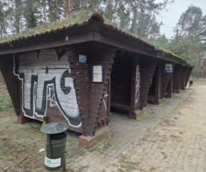 Przebudowa pętli Las Gdański ruszy w 2026 roku. Wycięto ponad 330 drzew!