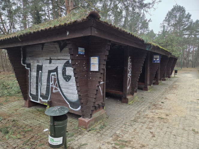 Przebudowa pętli Las Gdański ruszy w 2026 roku. Wycięto ponad 330 drzew!