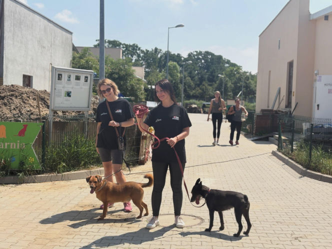 ESKA Summer City z wielką akcją we Wrocławiu! Ponad tona karmy trafiła do schroniska