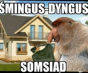 Lany Poniedziałek mem